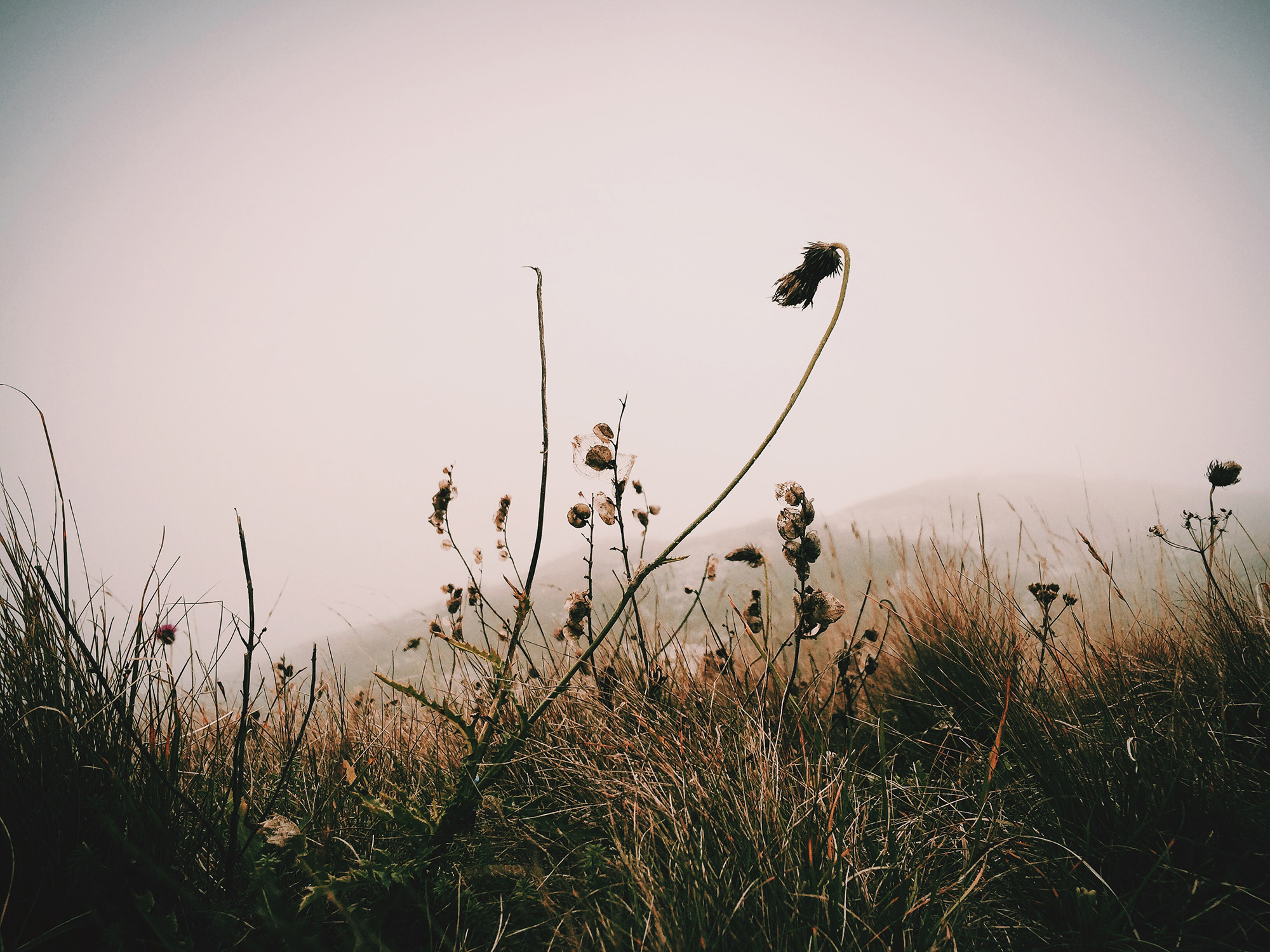 Nordstrom Rack deals and savings