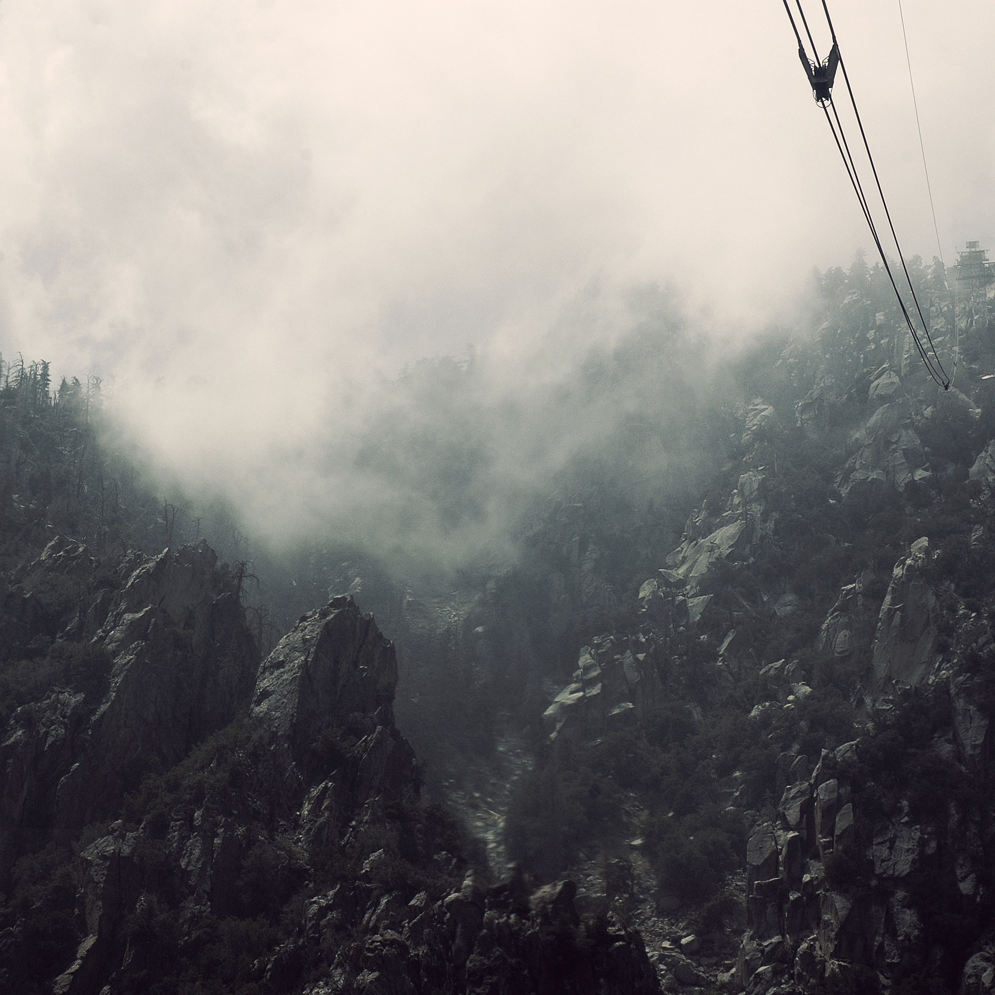 Costco deals and savings